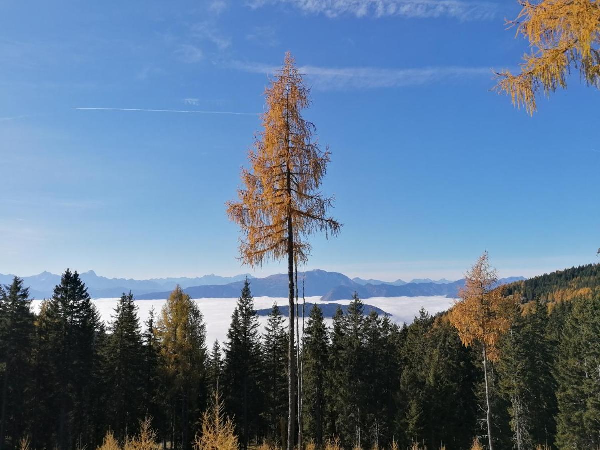 Gerlitzen Ferienappartement Paul Im Ski- Und Wandergebiet, Kanzelhoehe, Ossiacher See Deutschberg Bagian luar foto